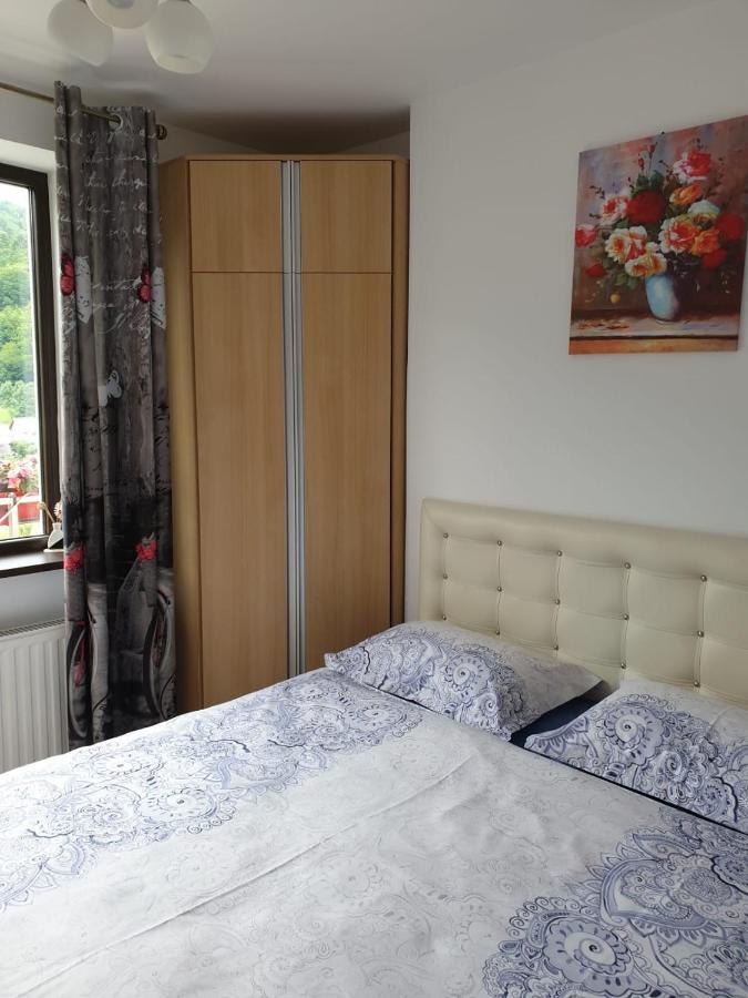 Апартаменты Sophie Apartament Синая Экстерьер фото