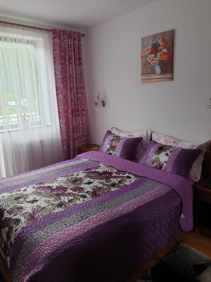 Апартаменты Sophie Apartament Синая Экстерьер фото