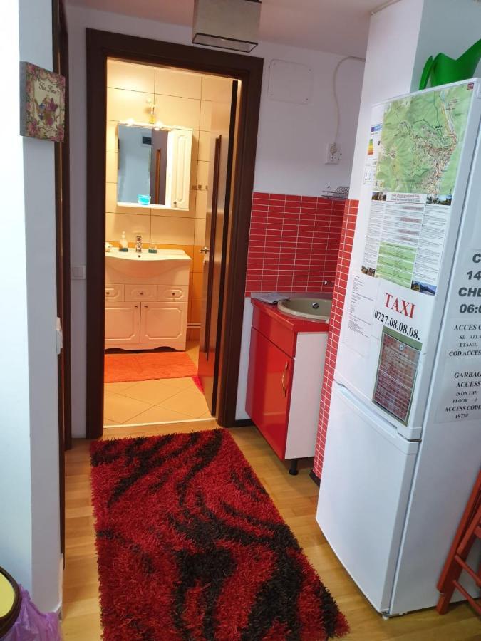 Апартаменты Sophie Apartament Синая Экстерьер фото