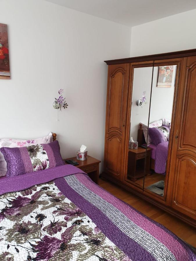 Апартаменты Sophie Apartament Синая Экстерьер фото