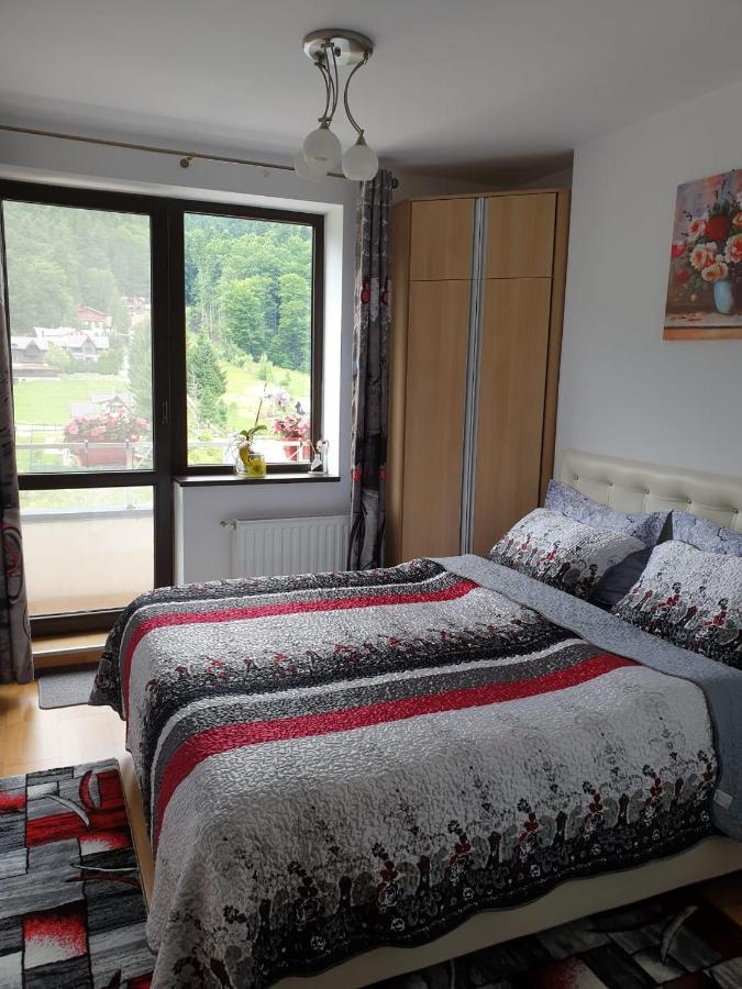 Апартаменты Sophie Apartament Синая Экстерьер фото