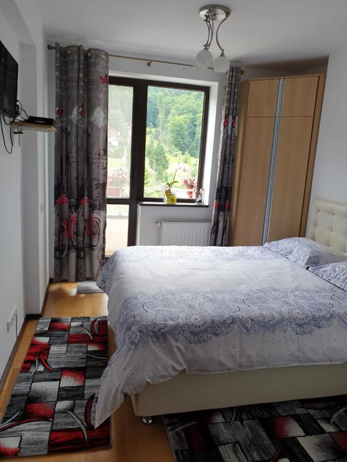 Апартаменты Sophie Apartament Синая Экстерьер фото
