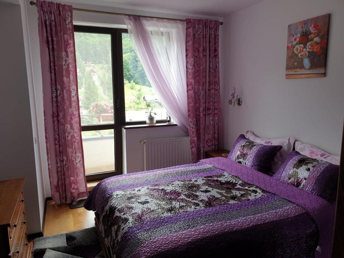 Апартаменты Sophie Apartament Синая Экстерьер фото