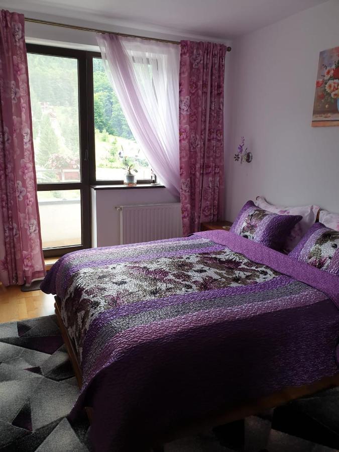 Апартаменты Sophie Apartament Синая Экстерьер фото
